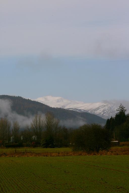 The Weem Inn Aberfeldy Kültér fotó